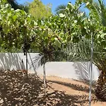 Tatil Evi The Theologos